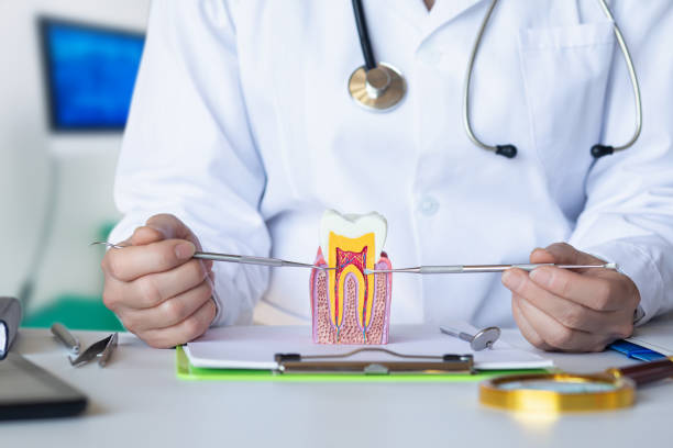 Best Walk-In Emergency Dentist in Cornersville, TN
